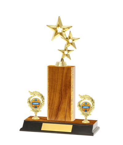 Classic Gold Edged Trophy