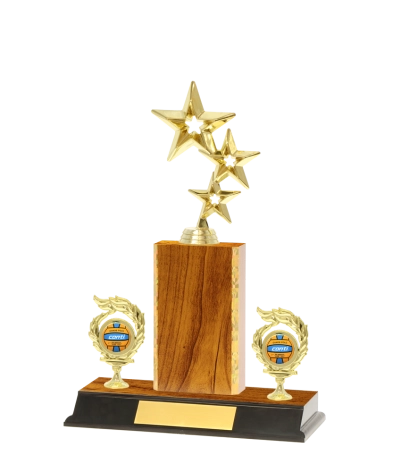 Classic Gold Edged Trophy