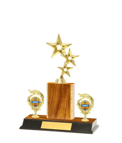 Classic Gold Edged Trophy