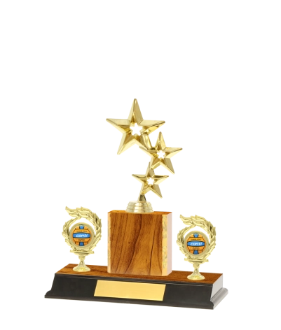 Classic Gold Edged Trophy