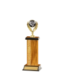 Capped Wave Pattern Trophy