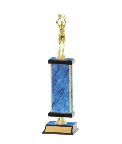 Capped Gold Edged Trophy