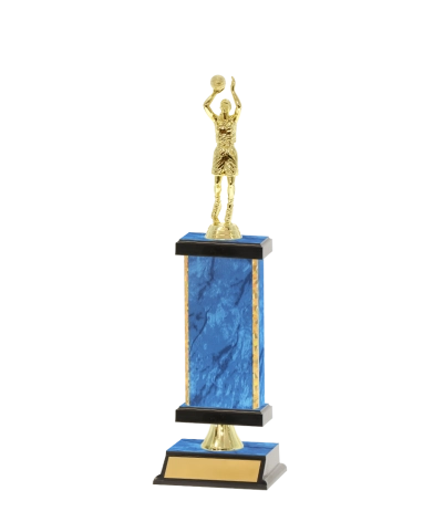 Capped Gold Edged Trophy