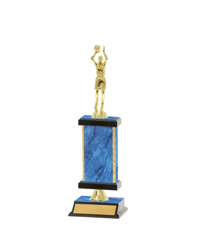 Capped Gold Edged Trophy
