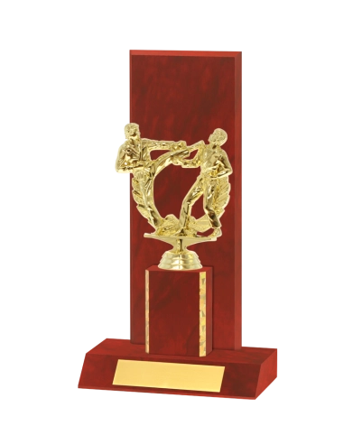 Curved Edged Trophy