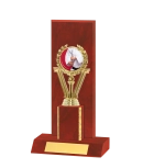 Curved Edged Trophy