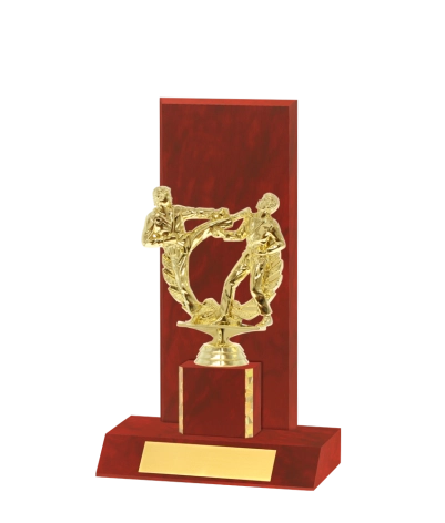 Curved Edged Trophy