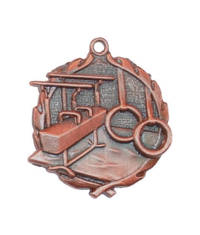 Gym (M) - Bronze 3D Medal