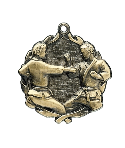 Karate - Gold 3D Medal