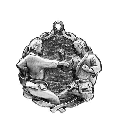 Karate - Silver 3D Medal