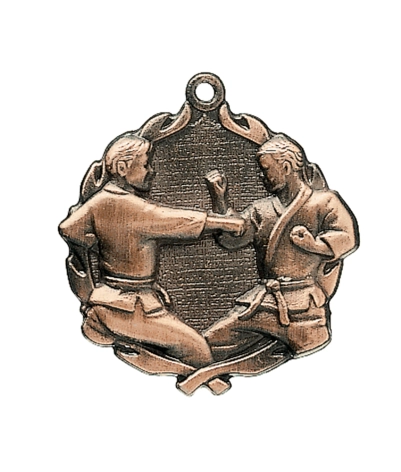 Karate - Bronze 3D Medal