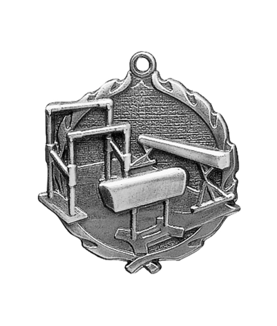Gym (F) - Silver 3D Medal