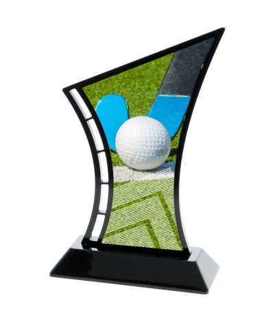 Acrylic Printed Hockey BK