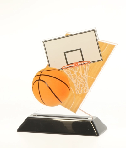 Acrylic Printed Basketball CL