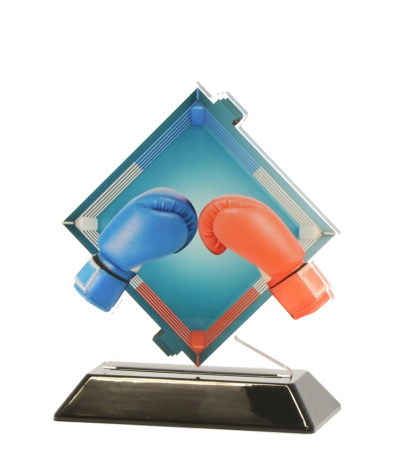 Acrylic Printed Boxing CL