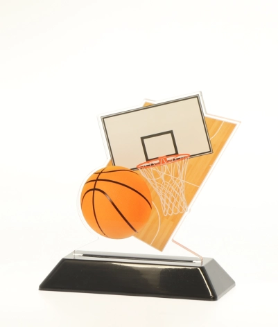 Acrylic Printed Basketball CL