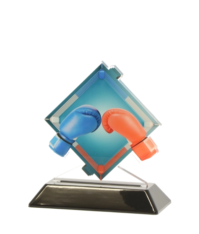 Acrylic Printed Boxing CL