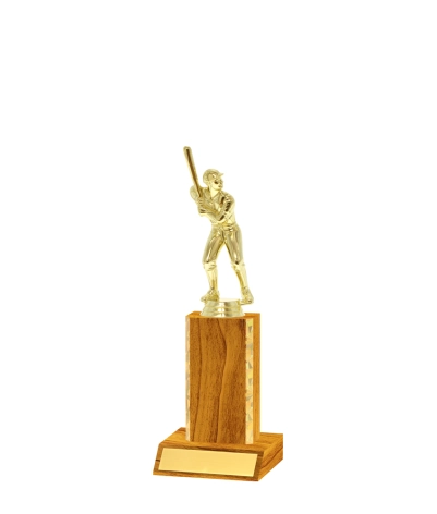 Gold Edged Trophy