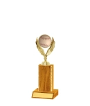 Gold Edged Trophy