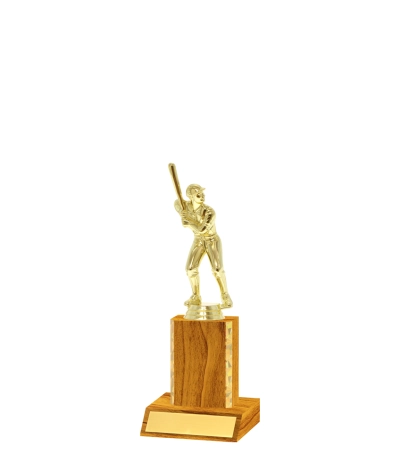 Gold Edged Trophy