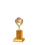 Gold Edged Trophy