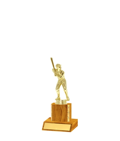 Gold Edged Trophy