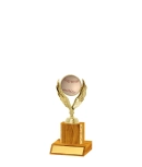 Gold Edged Trophy