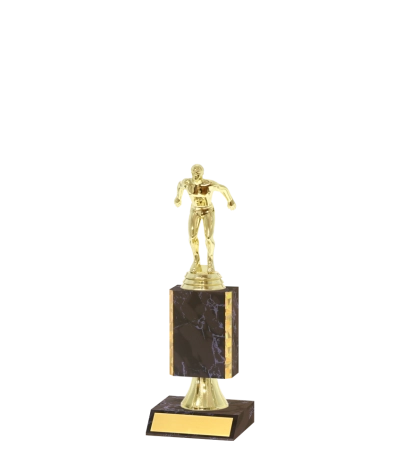 Gold Edged Trophy