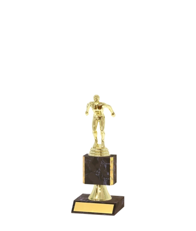 Gold Edged Trophy