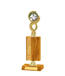 Wave Pattern Trophy