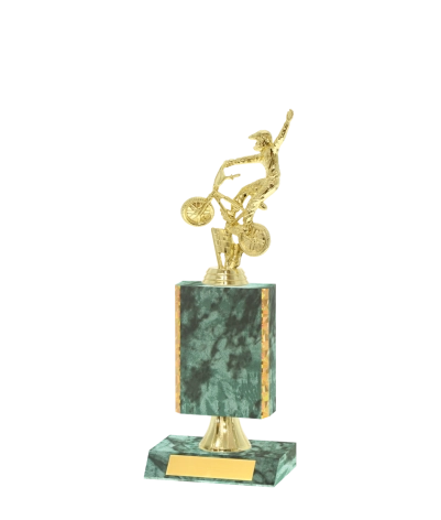 Gold Edged Trophy
