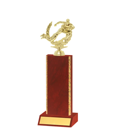 Gold Edged Trophy
