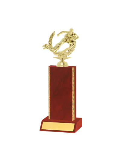 Gold Edged Trophy