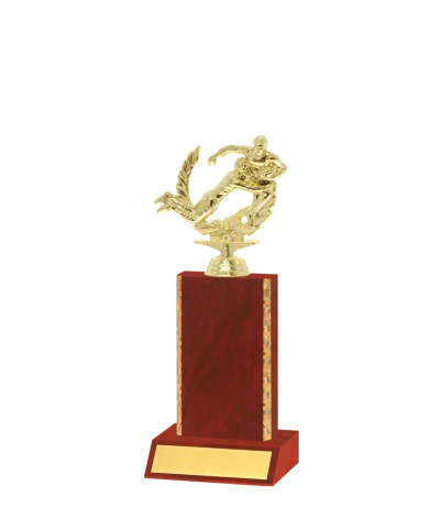 Gold Edged Trophy