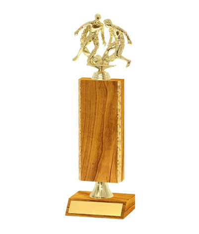 Gold Edged Trophy