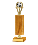 Gold Edged Trophy