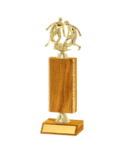 Gold Edged Trophy