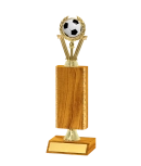 Gold Edged Trophy