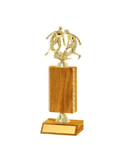Gold Edged Trophy
