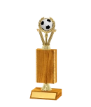 Gold Edged Trophy