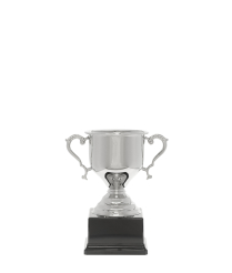 Challenge Nickel Cup