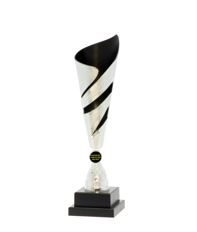 Euro Tower - Inverness