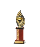 Flame Trophy Wave Pattern