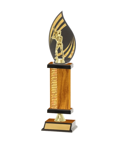 Flame Trophy Wave Pattern