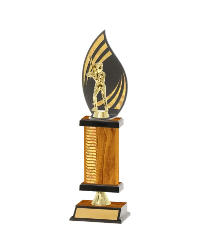 Flame Trophy Wave Pattern