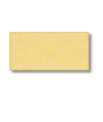 Mirror Gold Aluminium <BR>300x600x0.5mm