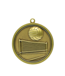 Volleyball - Gold Relief Medal