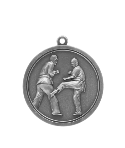 Karate - Silver Relief Medal