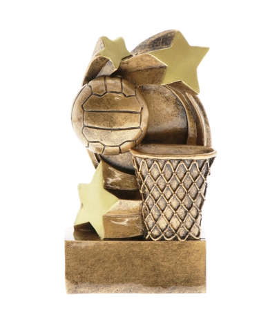 Resin Star Swirl Netball