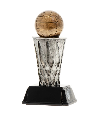 Netball World Class Resin 20cm